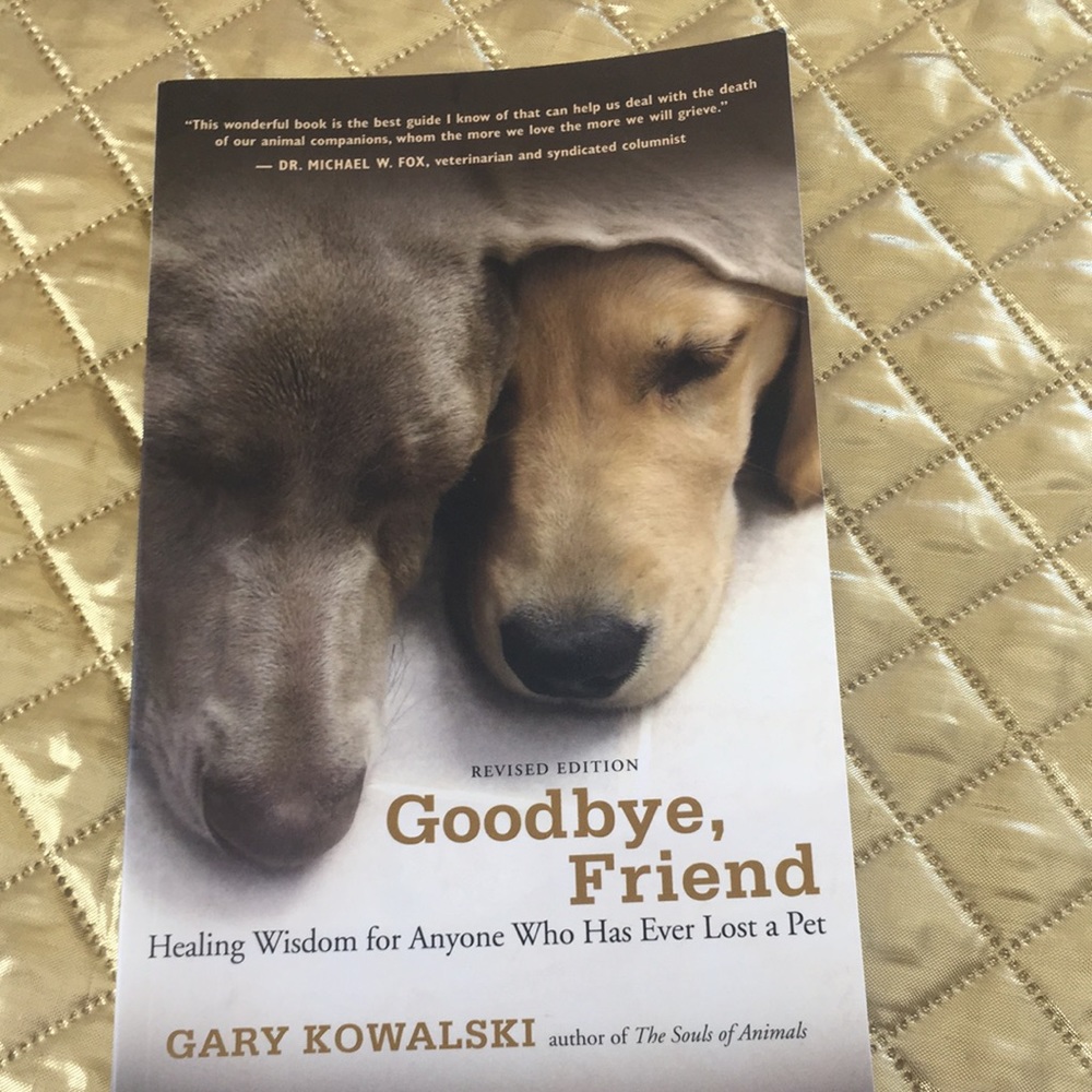 Book,Goodbye,Friend